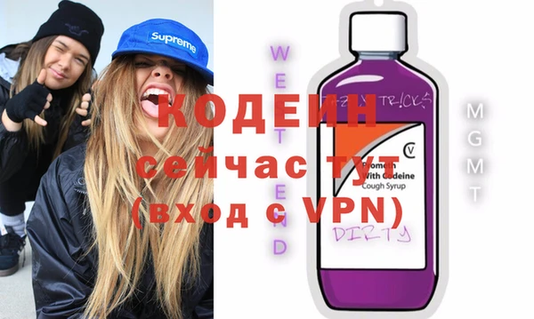 хмурый Корсаков